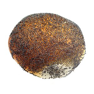 Witte maanzaadbollen (zacht)